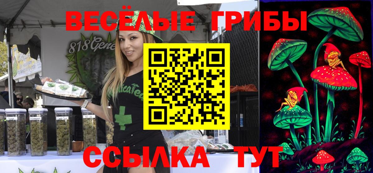 Тавда  Псилоцибиновые грибы ЛСД  купить наркотики цена  Вход с VPN 